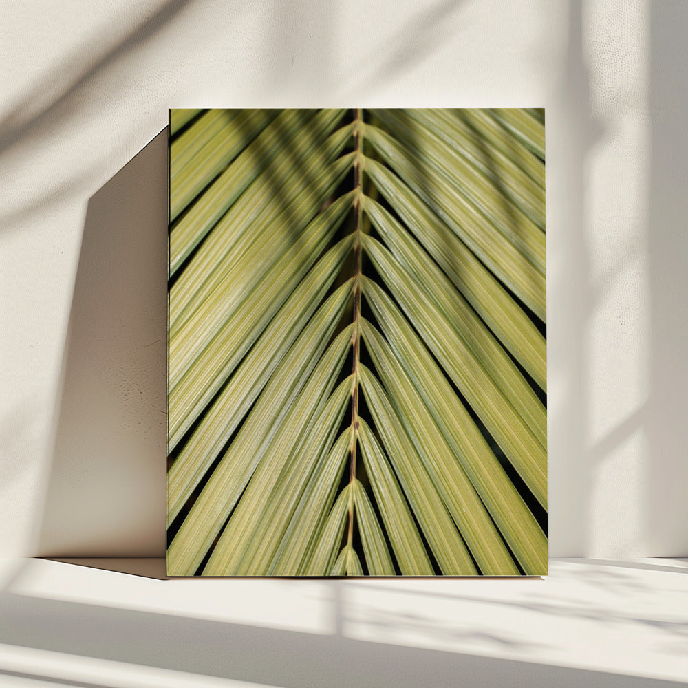 Tropical Leaf | Canvas