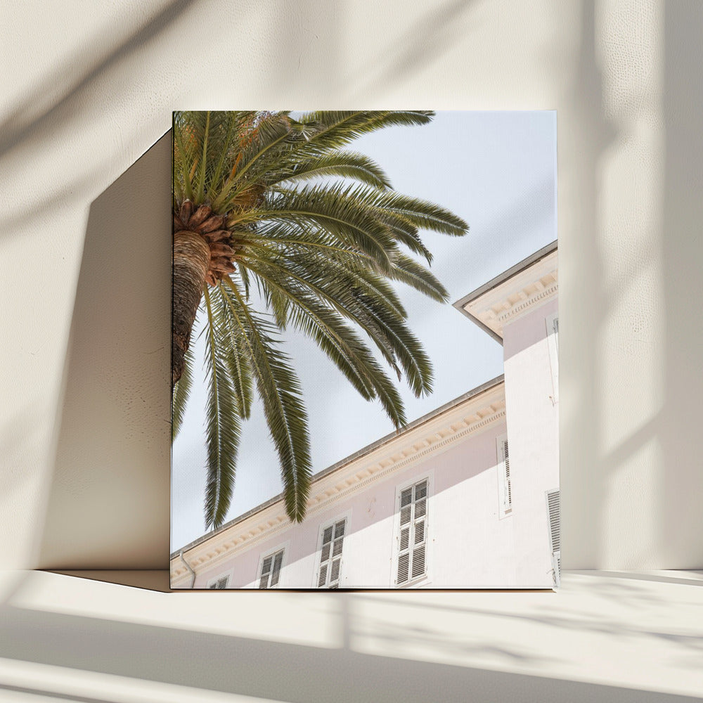 Tropical Menton | Canvas