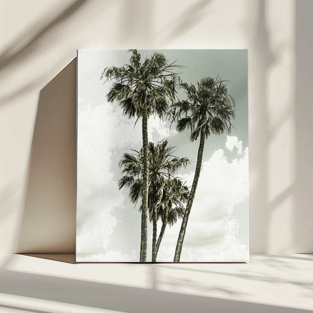 Palm Trees and sky | Vintage | Canvas