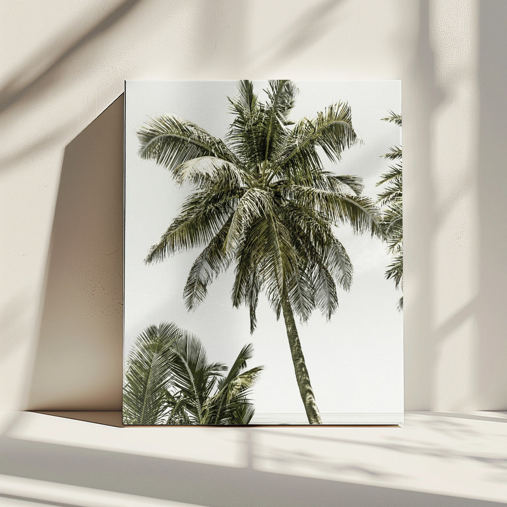 Palm Trees by the ocean | Vintage | Canvas