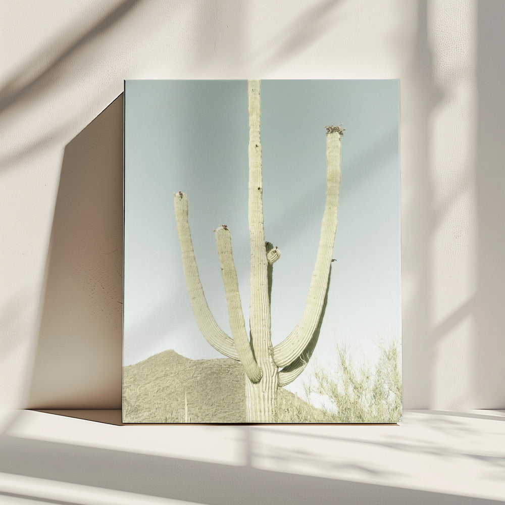 SAGUARO NATIONAL PARK Vintage Giant Saguaro | Canvas