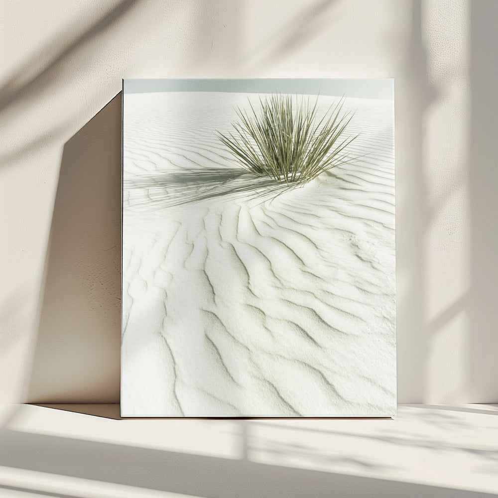 WHITE SANDS Idyllic vintage scenery | Canvas