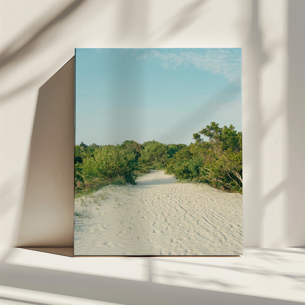 Sullivan's Island | Canvas