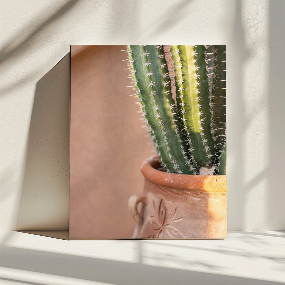 Green On Orange | Marrakech Travel Photography | Canvas