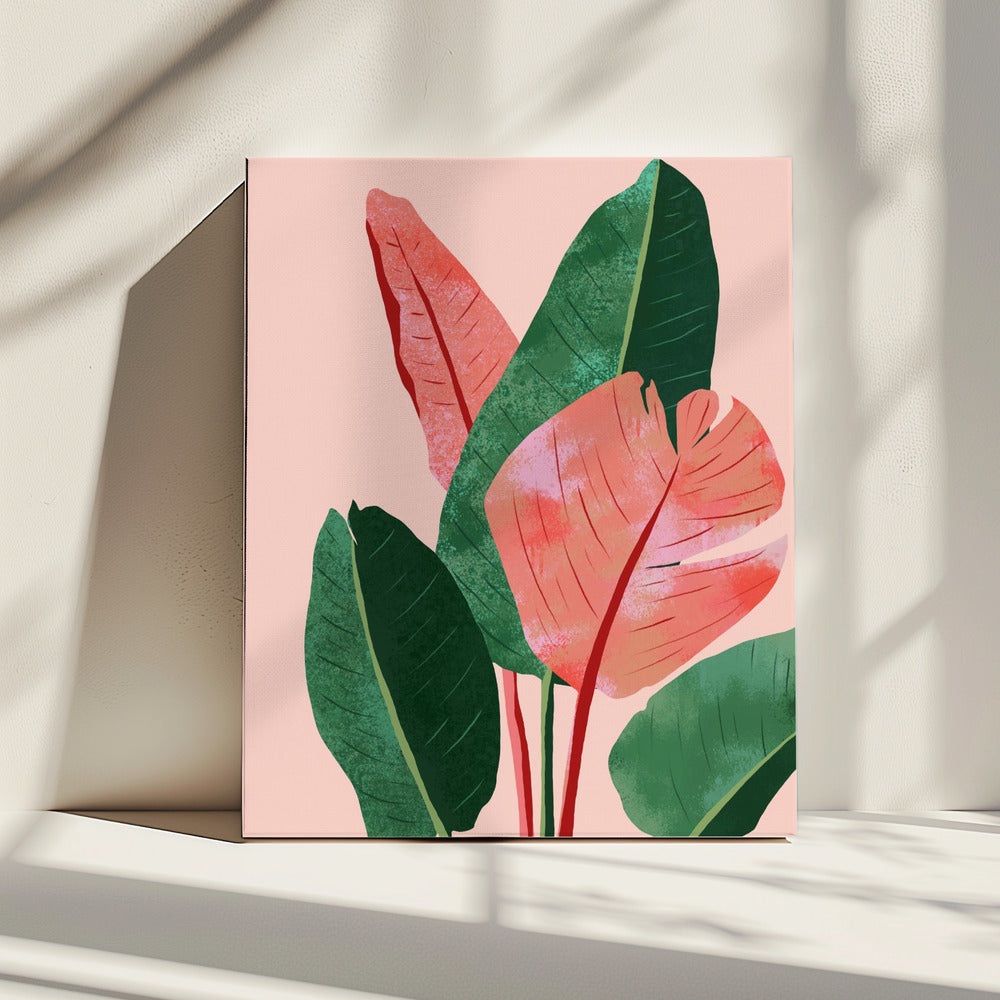 Blush Tropical | Canvas
