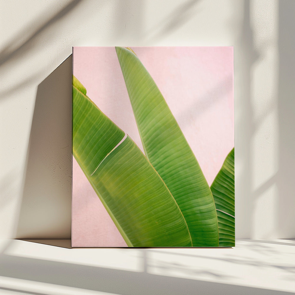 Merida Green on Pink | Canvas