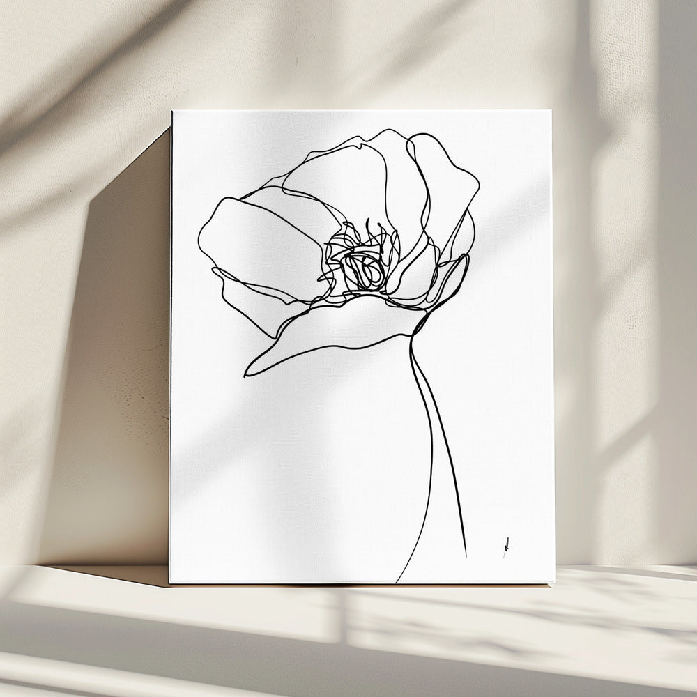Poppy in One Line | Canvas