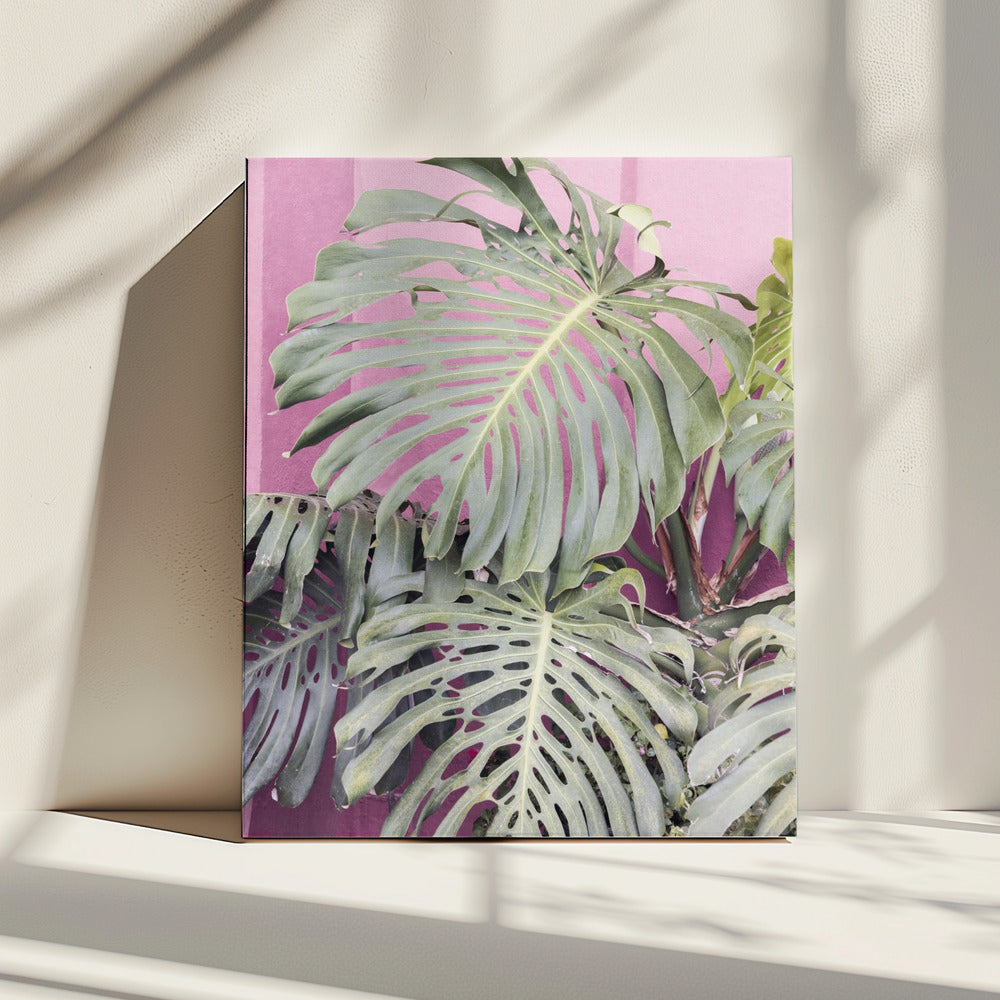 Monstera leaf La Muralla | Canvas