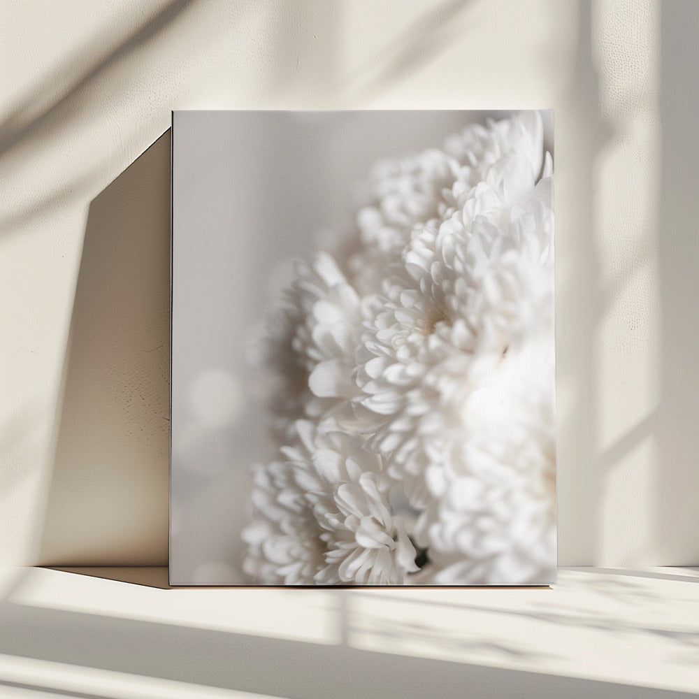 White Flowers | Canvas