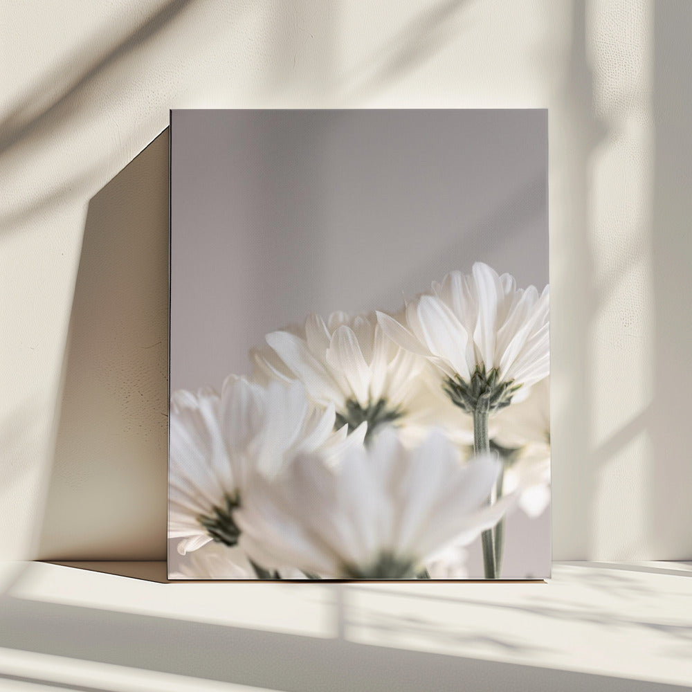 White Flowers 4 | Canvas