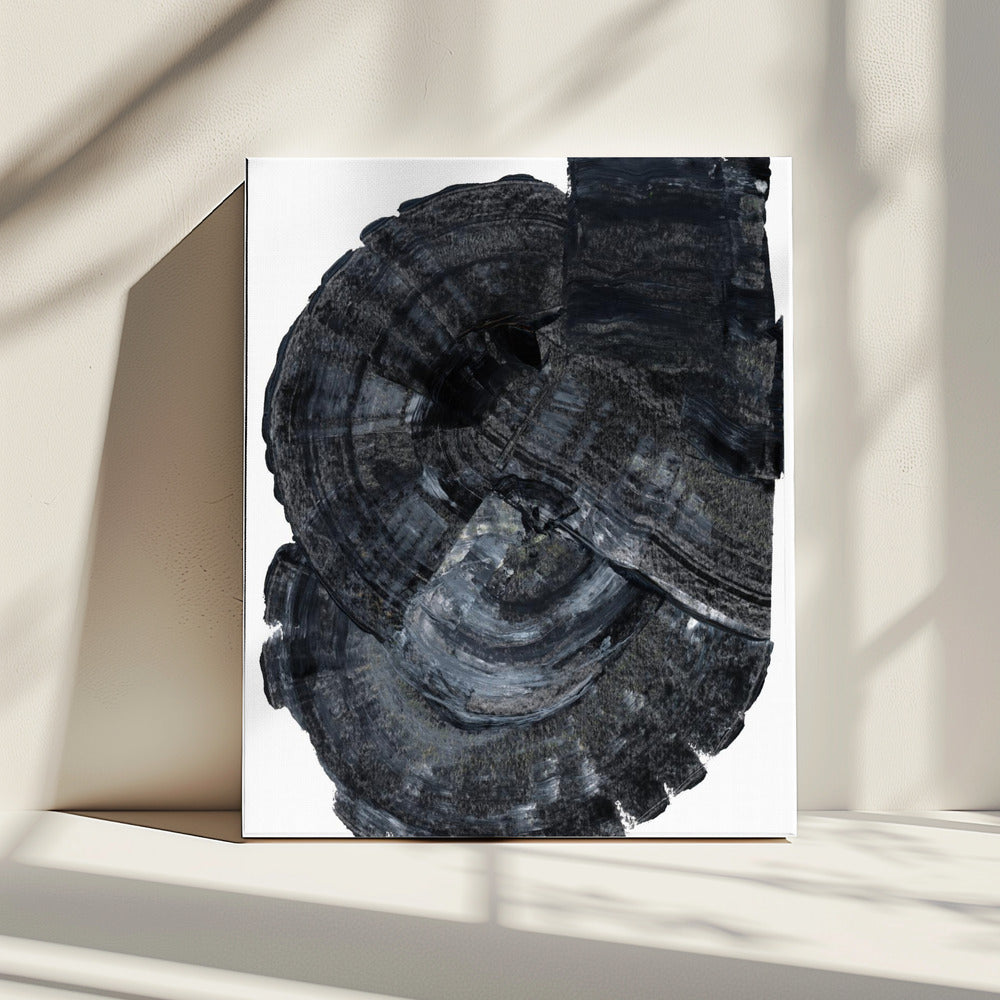 Black Fossil 1 | Canvas