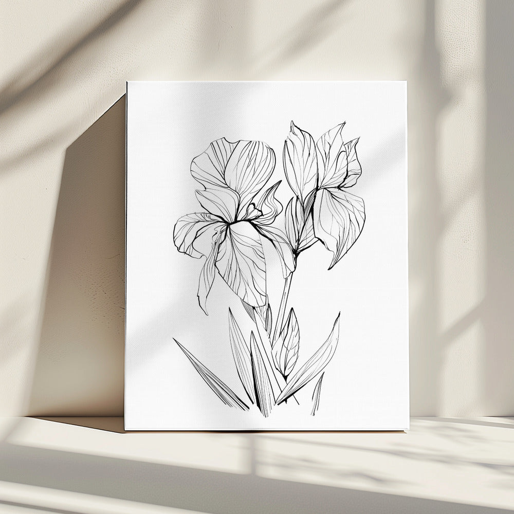 Irises | Canvas