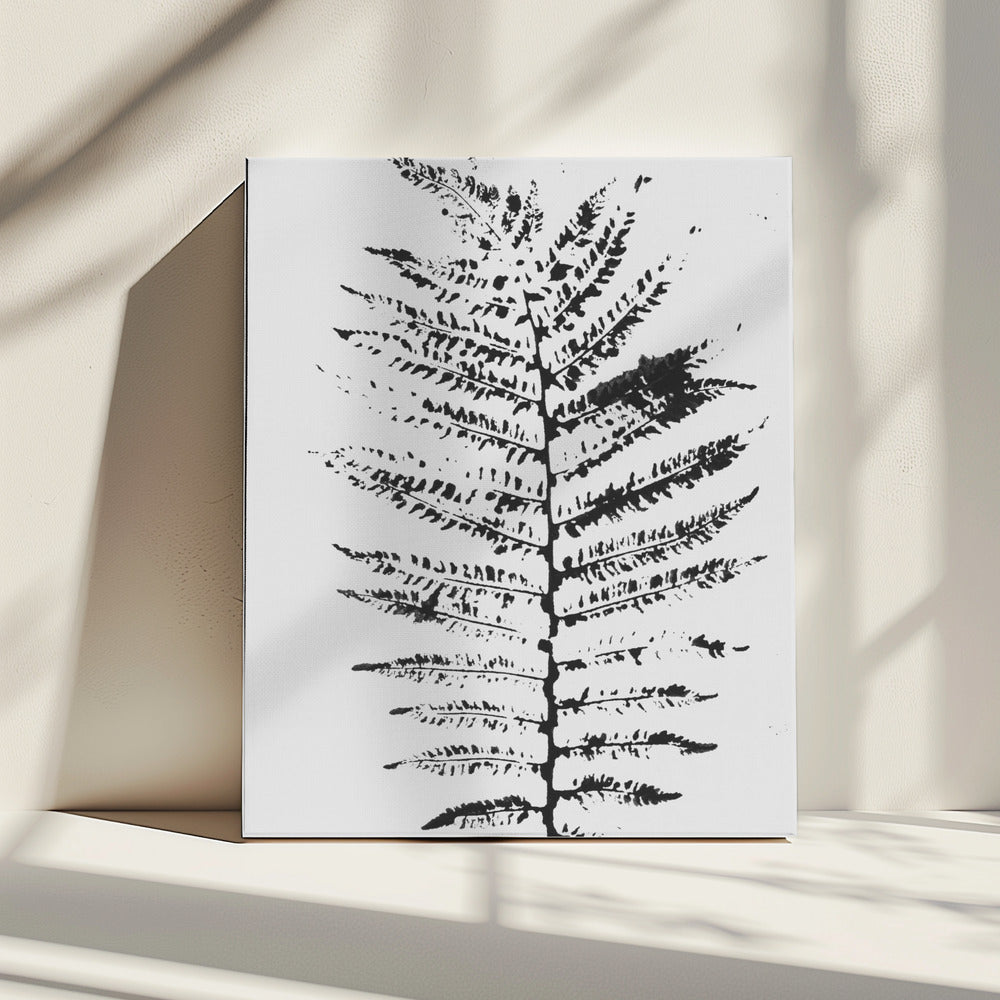 Ferns Iii | Canvas