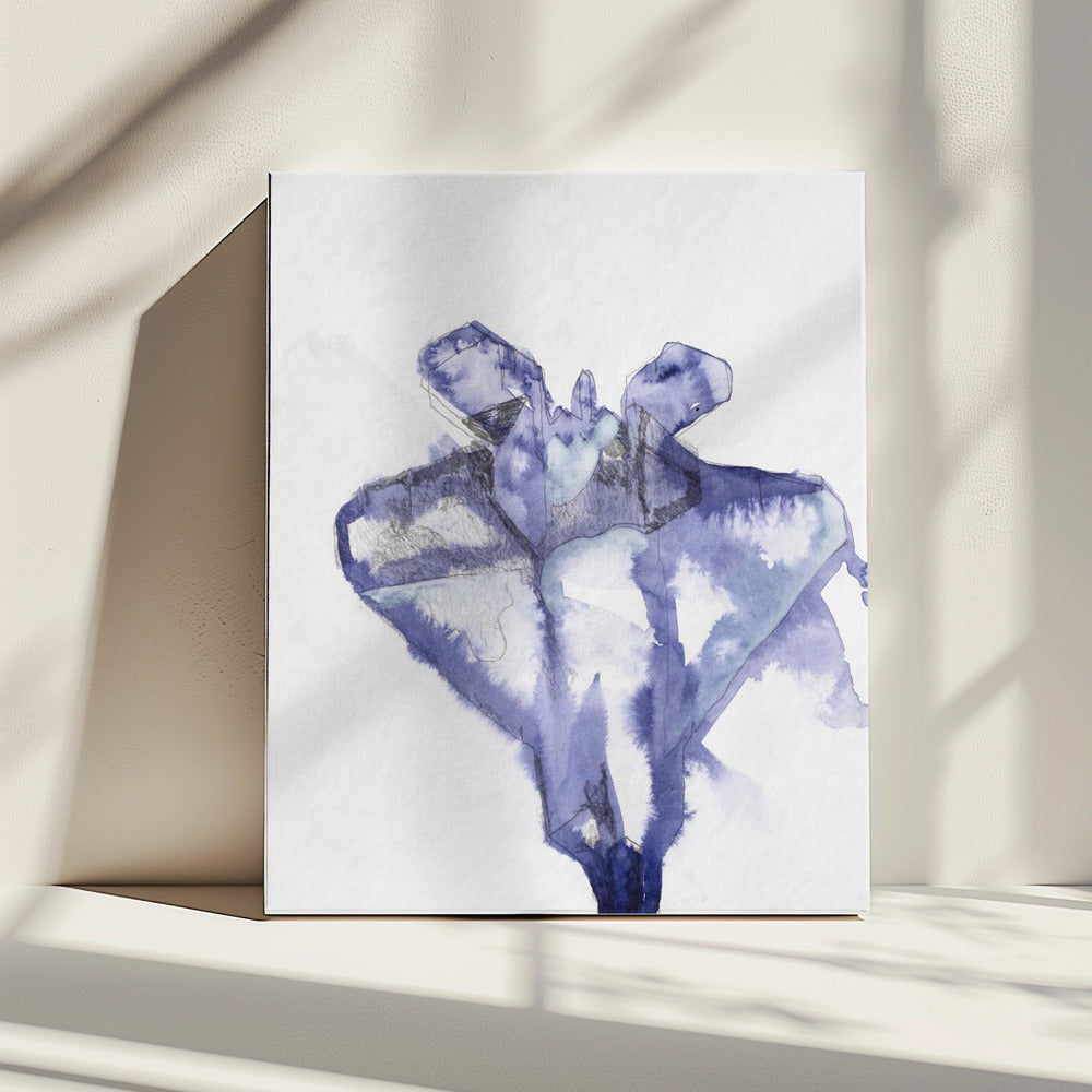 Kampfjet Study (indigo 1) | Canvas