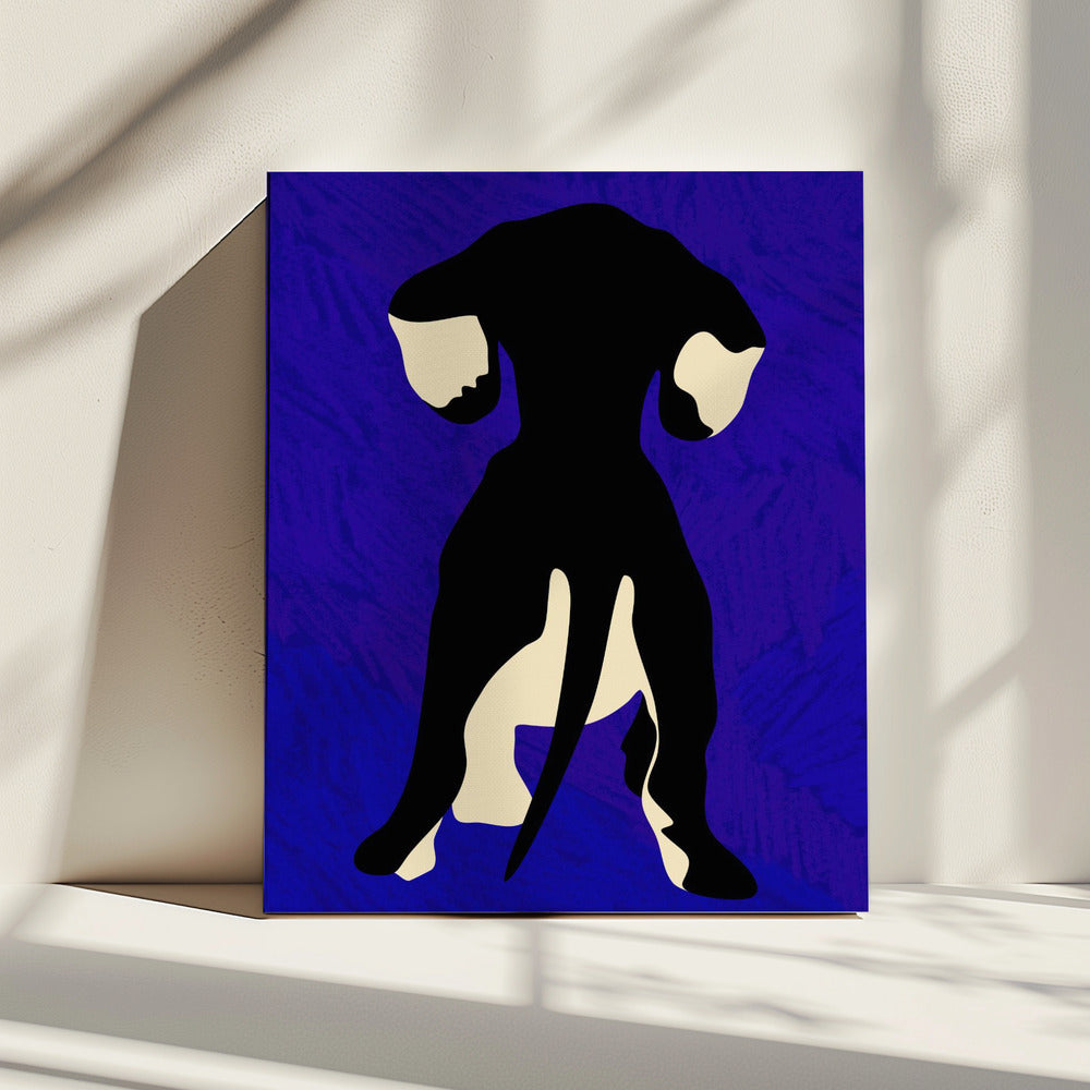 Blue Backdrop | Canvas