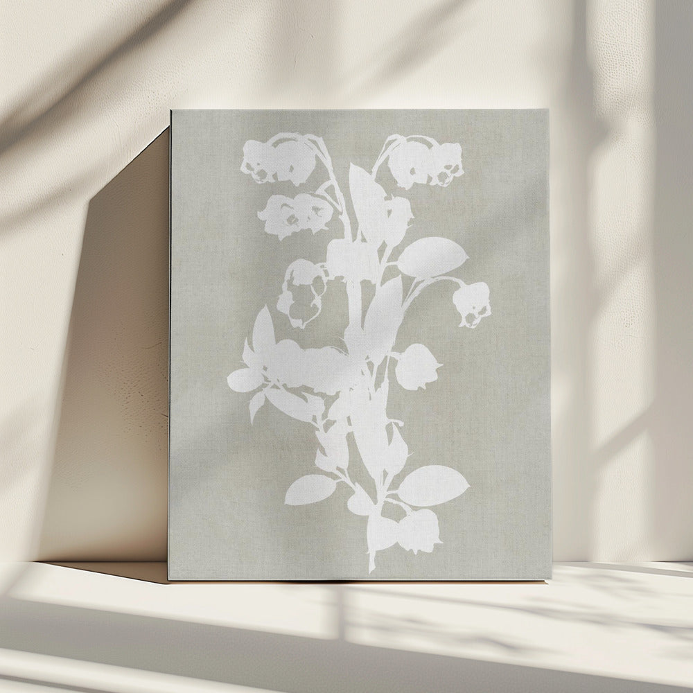 Botanical Illustration 4 | Canvas