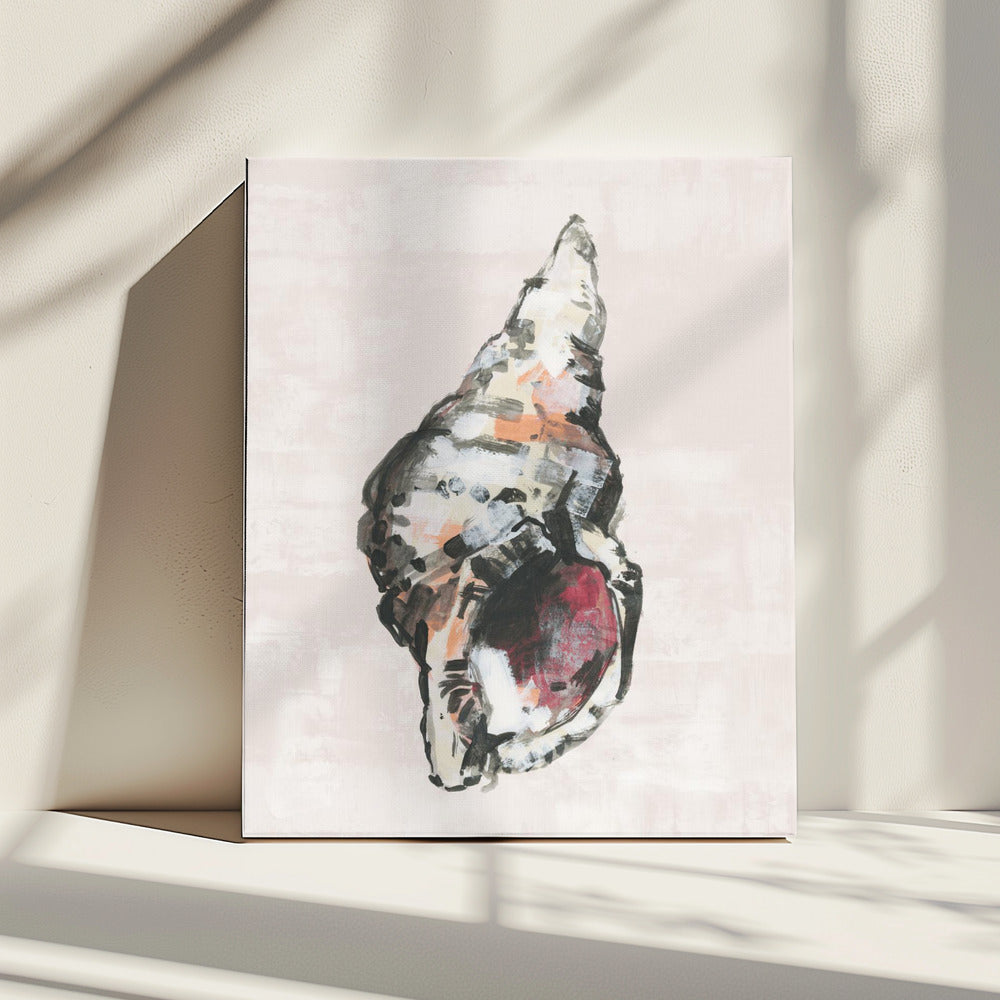 Shell Collector Art Print No 2 | Canvas