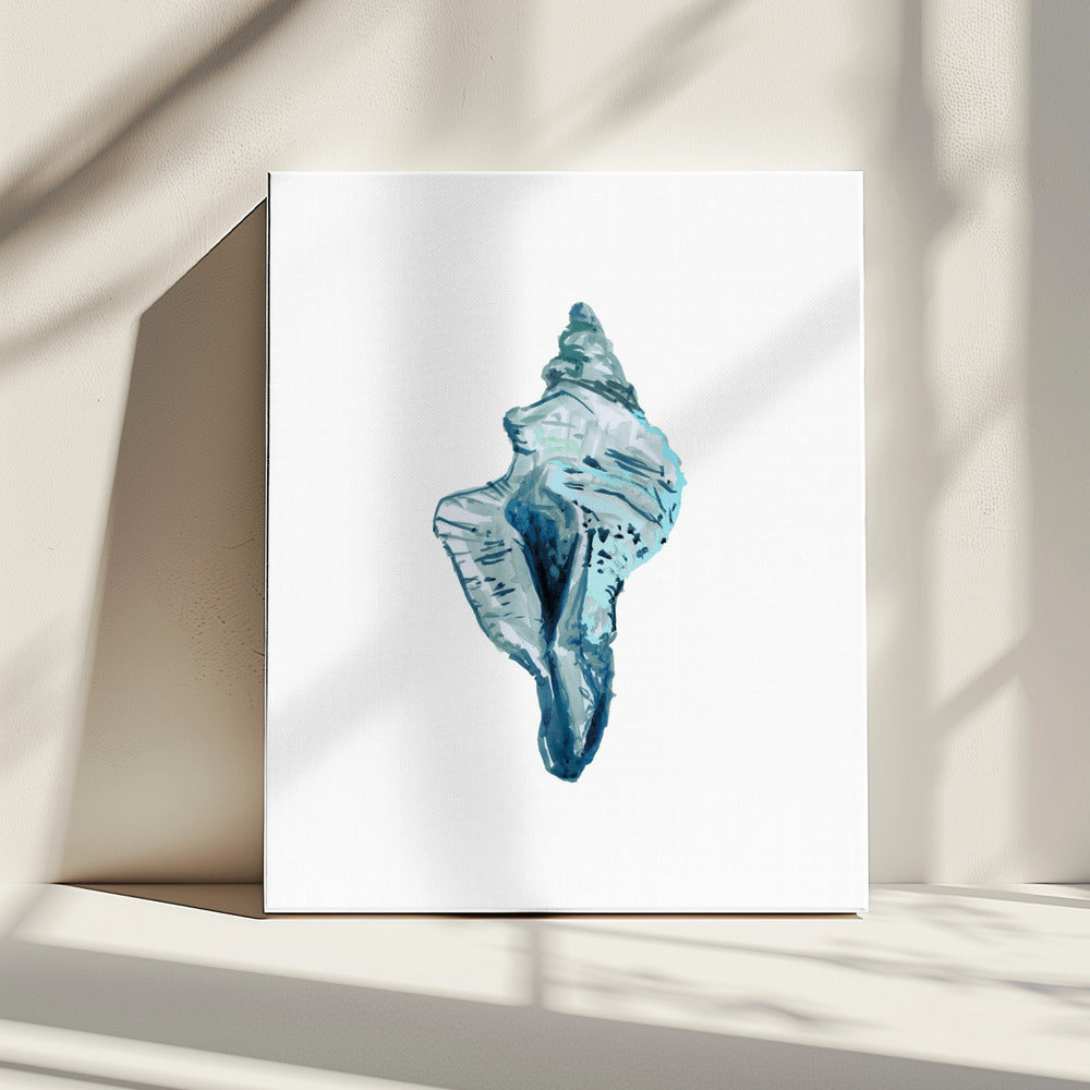 Blue Seashell On White Background No4 | Canvas