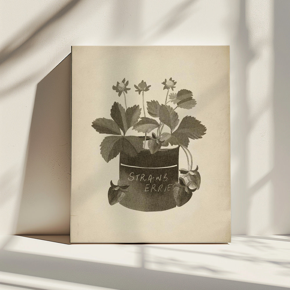 Vintage strawberry plant | Canvas
