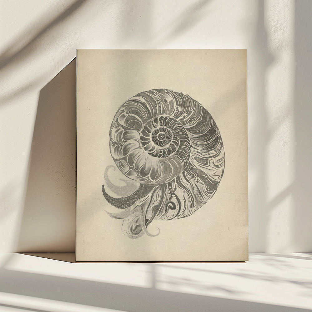 Project (20241106123057) | Canvas