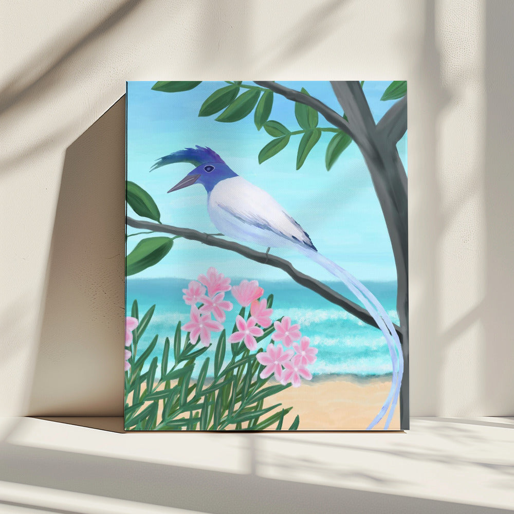White-throated Magpie-Jay | Canvas