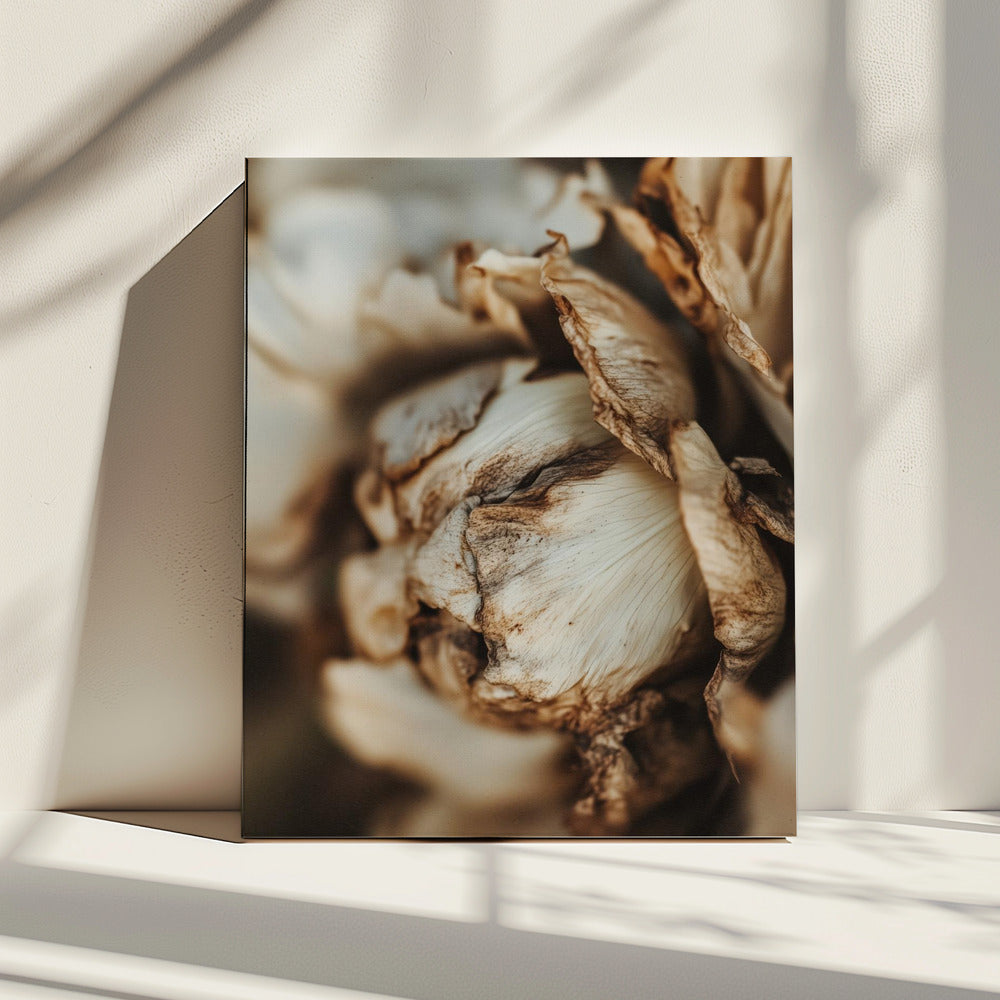 Whispering Petals | Canvas