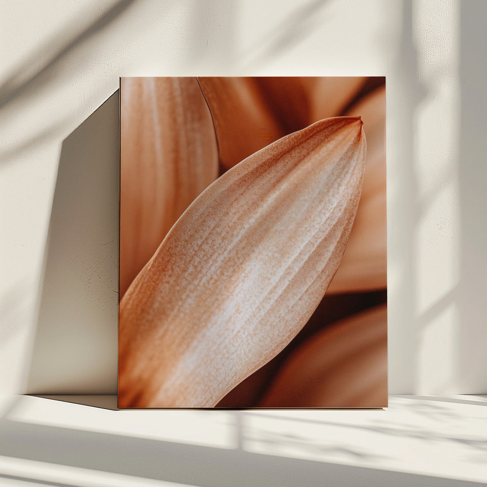 Amber Petal Elegance | Canvas