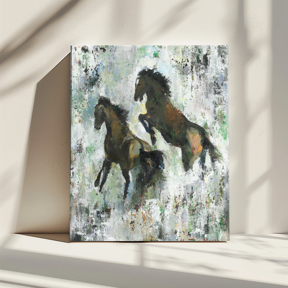 Dakota Spirit II | Canvas