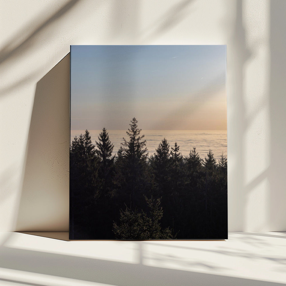 Golden Hour 4 | Canvas