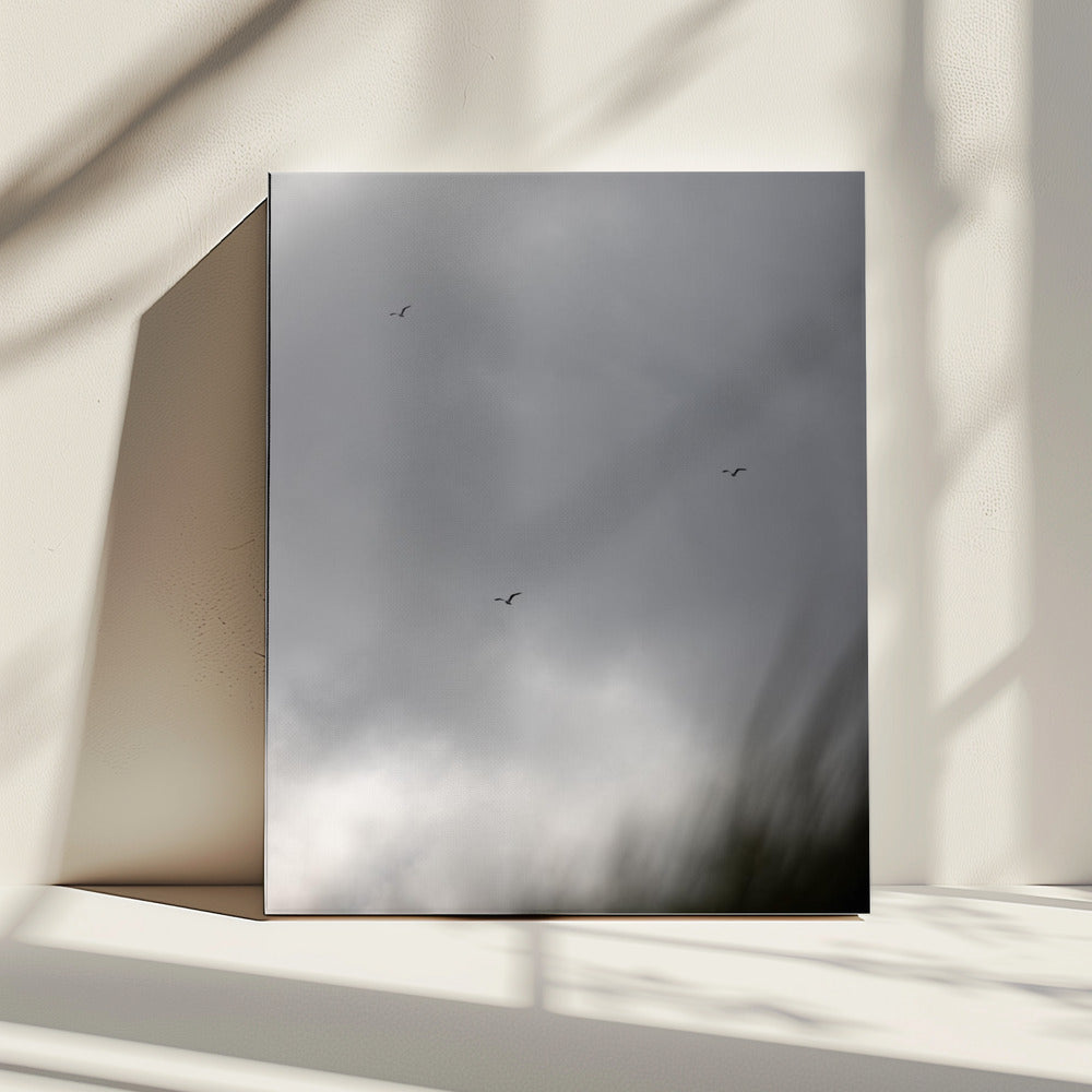 Birds and Clouds 2 | Canvas