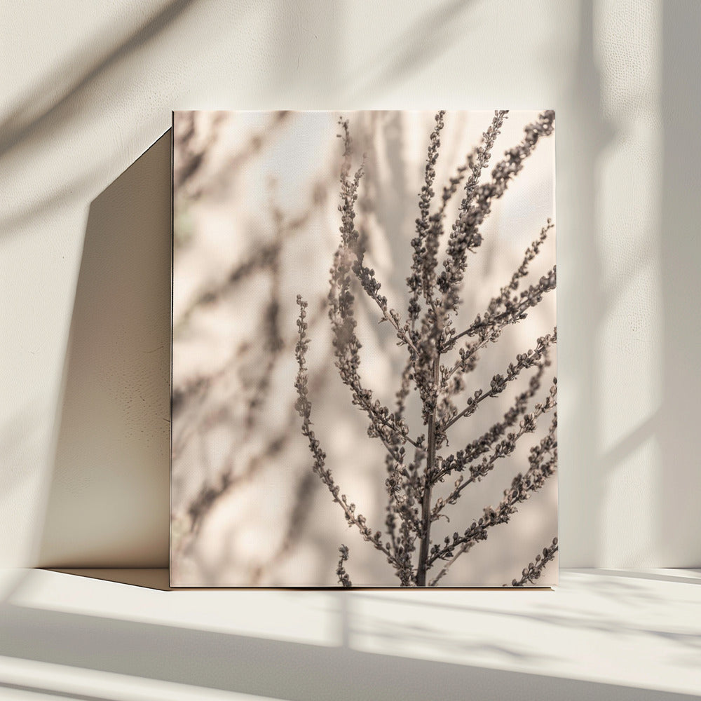 Summer Shadows 7X | Canvas