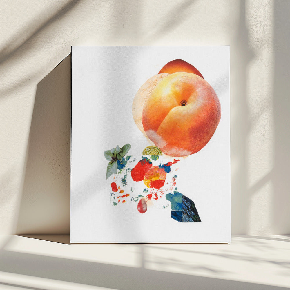 Momo_Montserrat Serra Nonell | Canvas