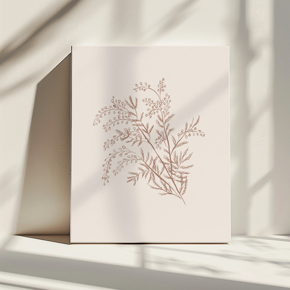 Acacia Botanical Branch | Canvas