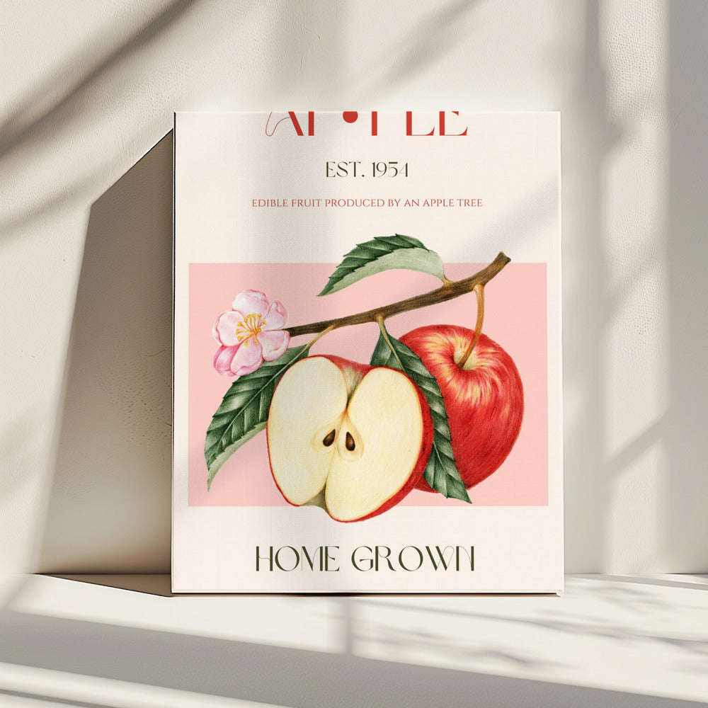 Harvested Apples | Canvas