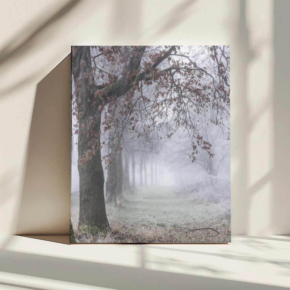 Foggy Winter Morning 3 | Canvas
