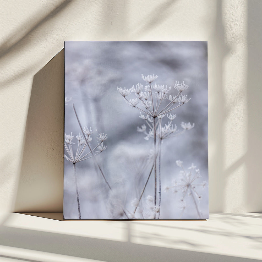 Frozen 5 | Canvas