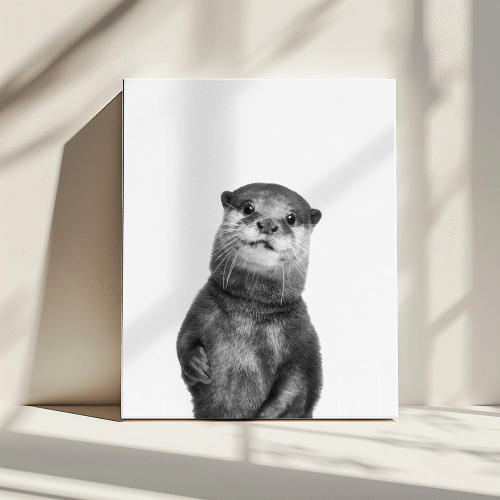Otter | Canvas