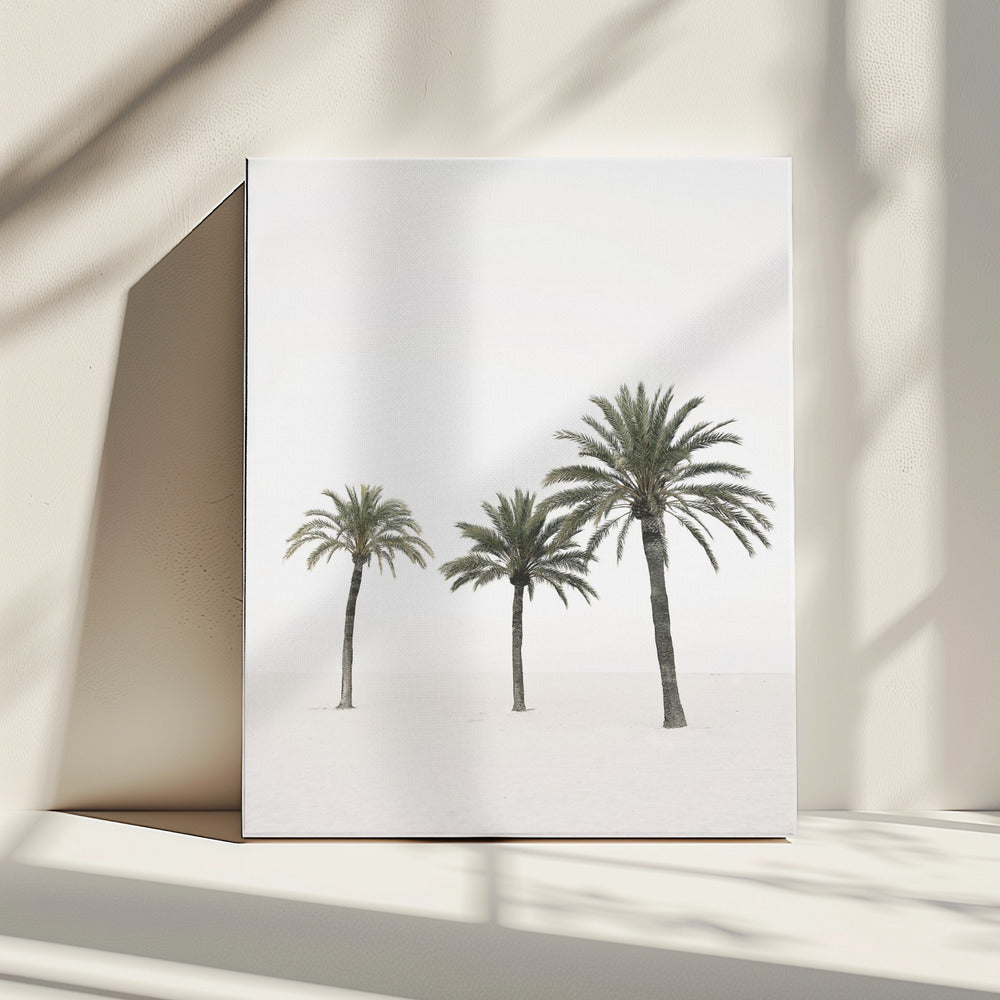 Palms | Canvas