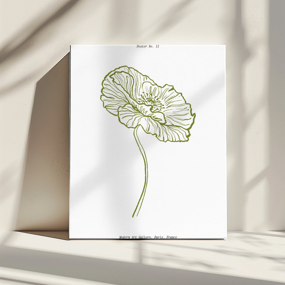 Pale Poppy Sketch | Canvas