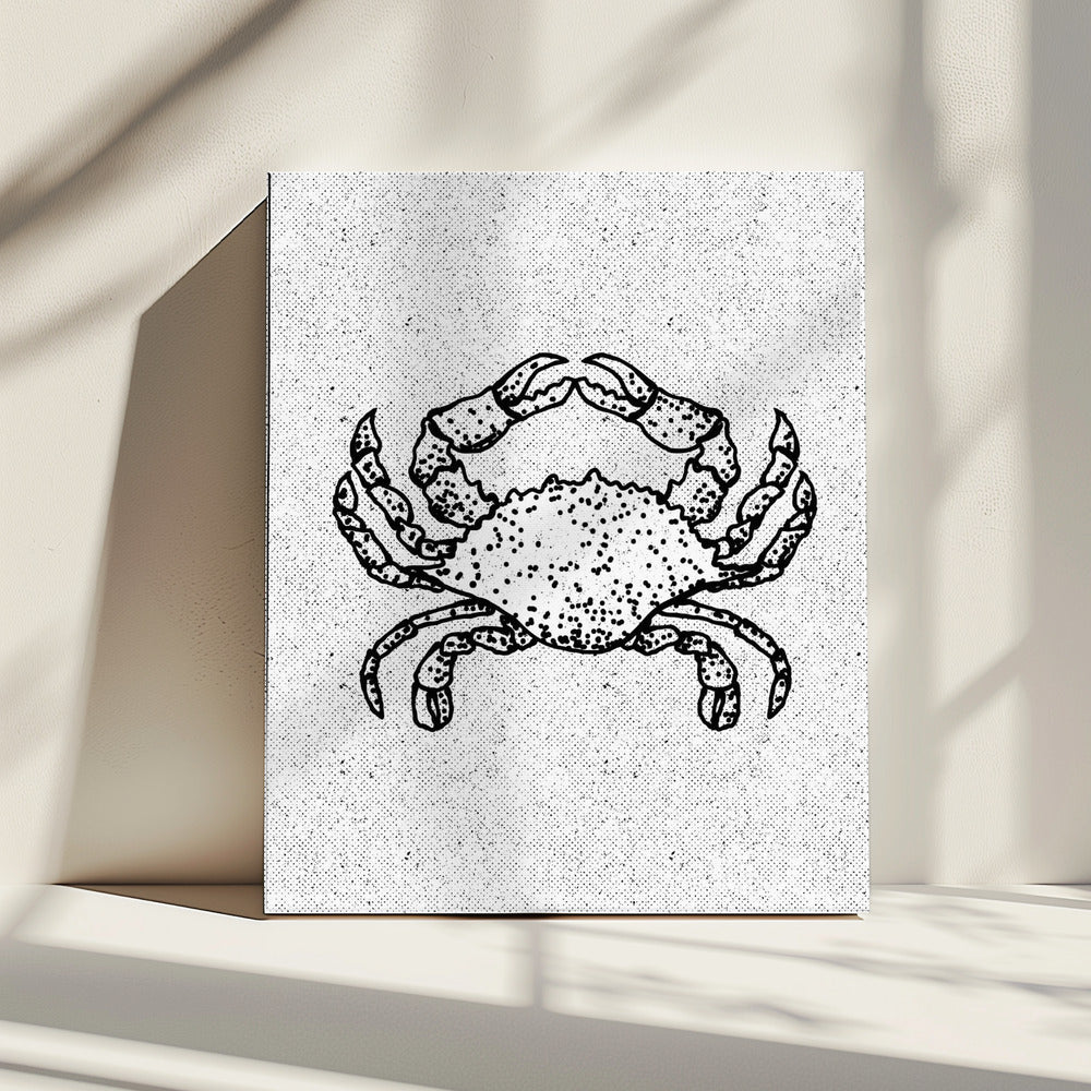 Black And White Crab | Canvas