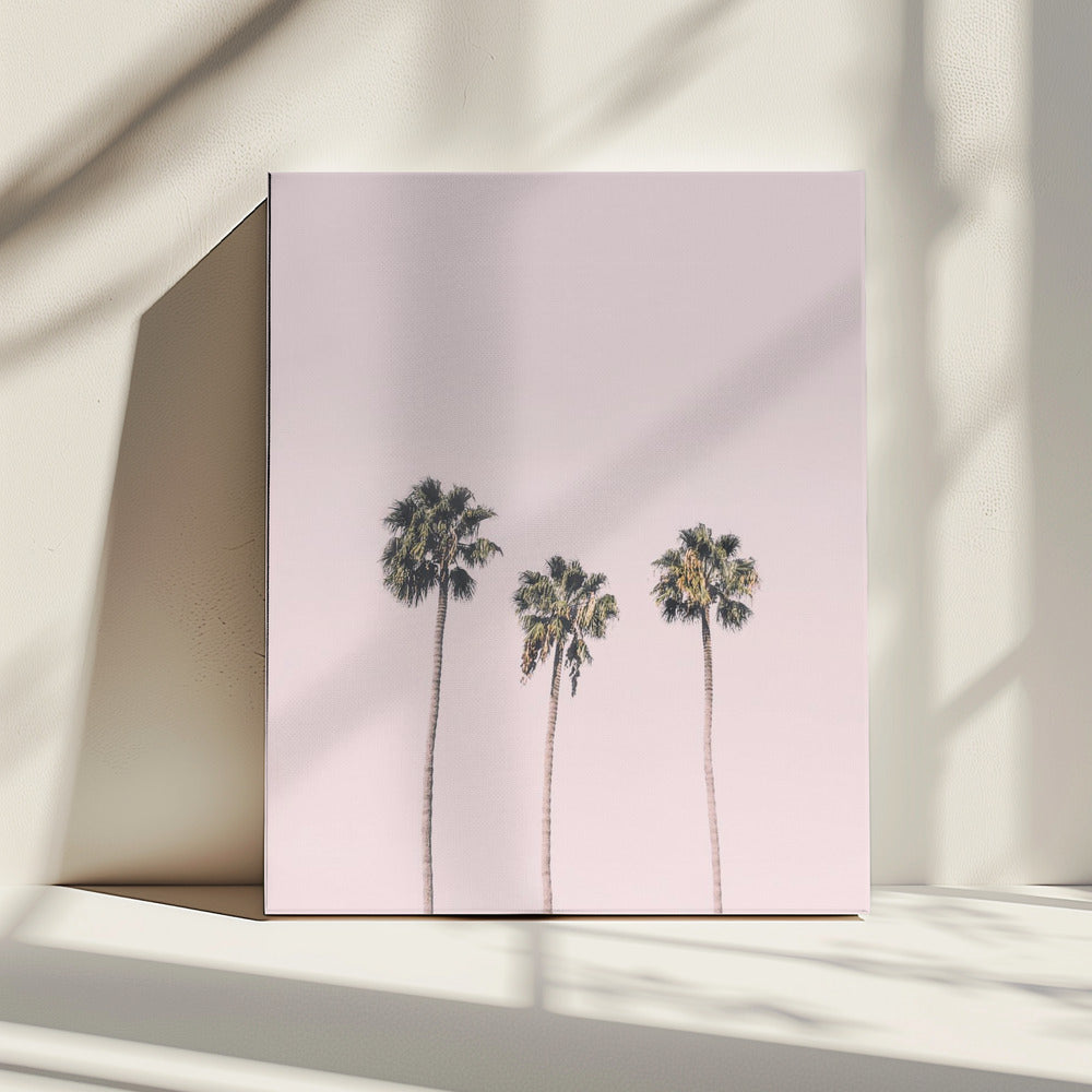 Palms On Pink | Canvas