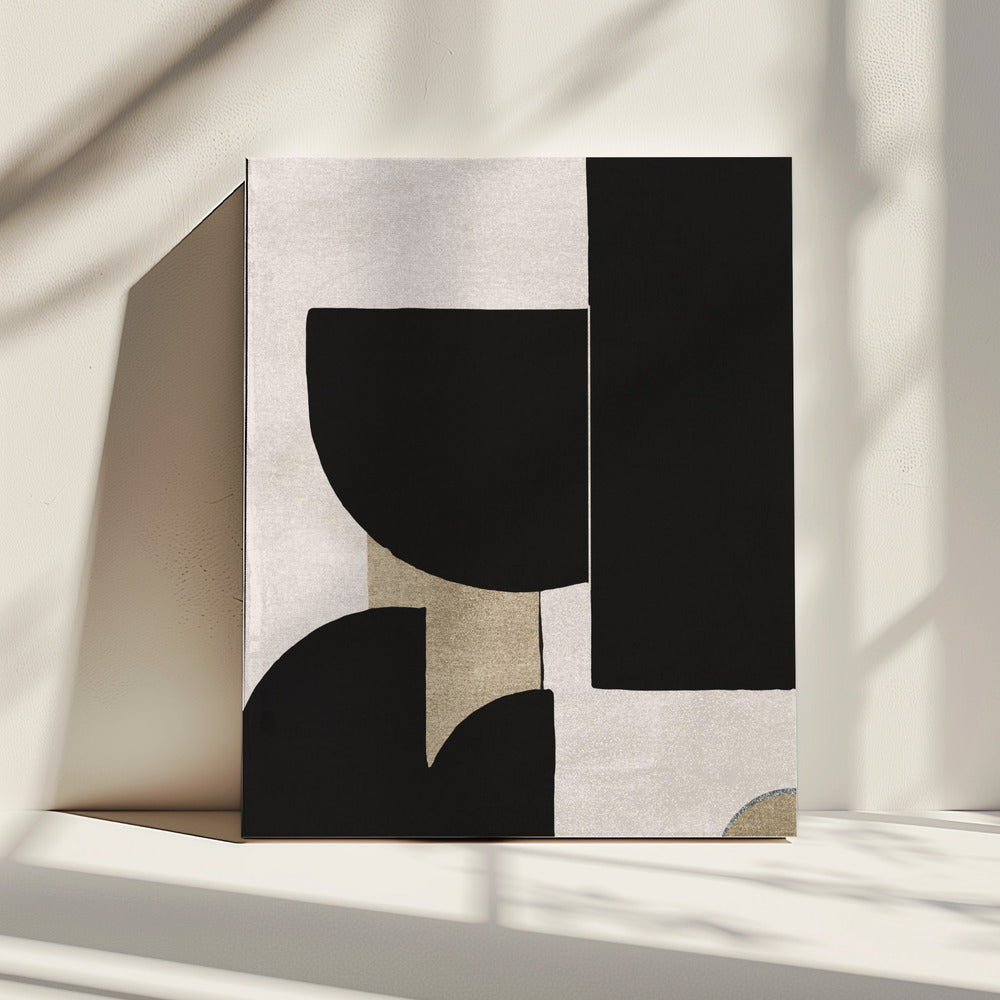 Shadow Play Forms | Canvas