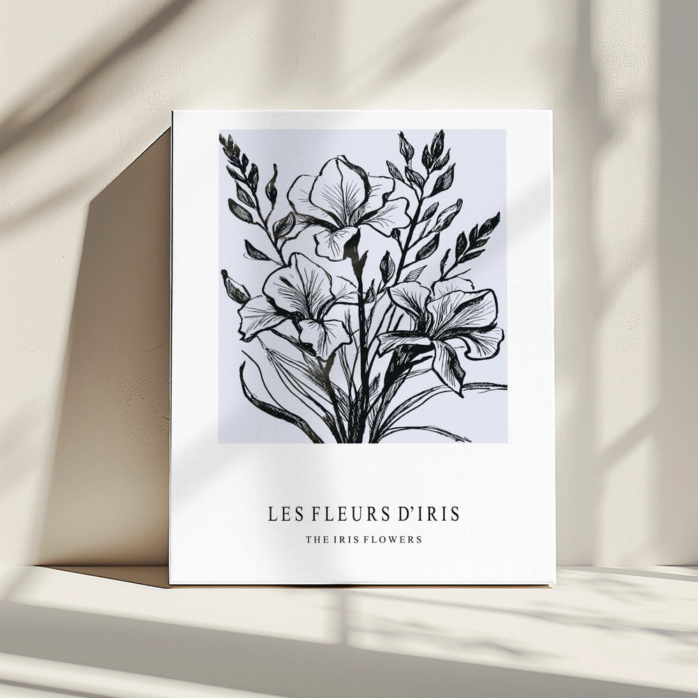 Iris Flowers In A Monochrome Illustration | Canvas