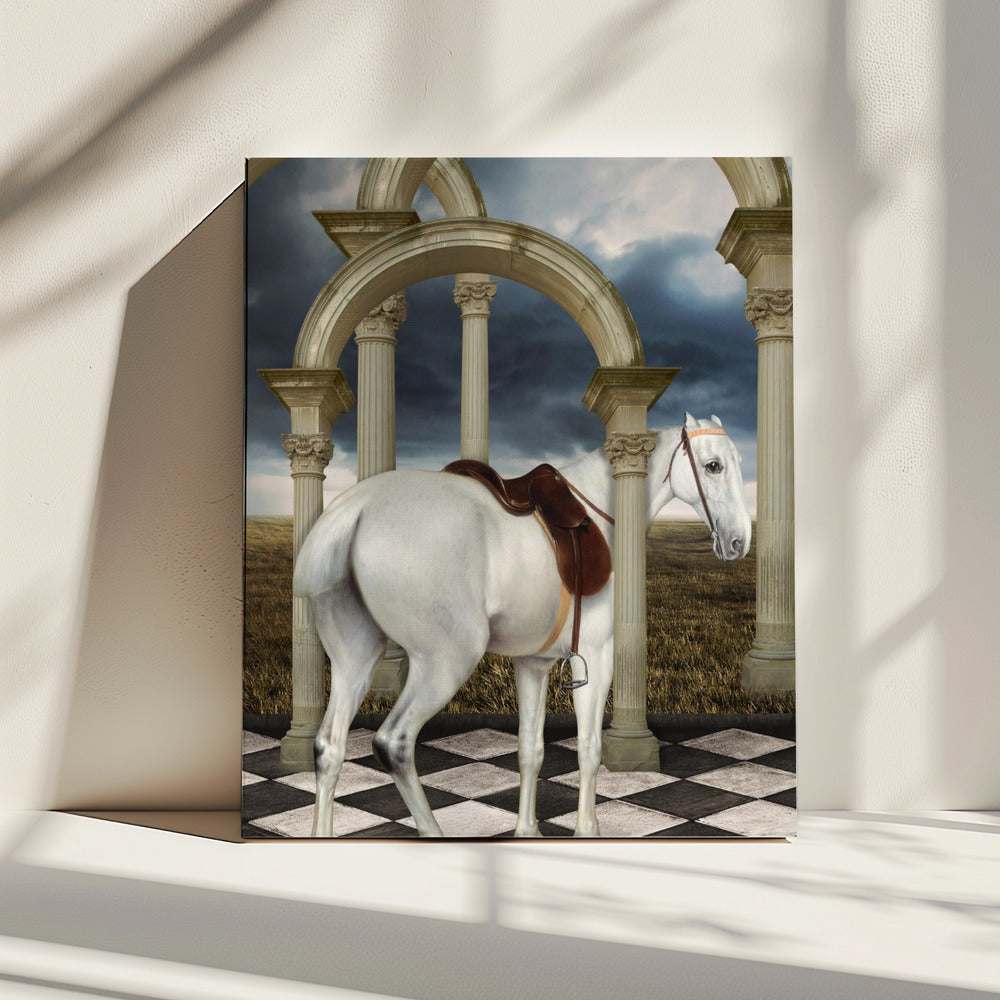 A Lady's Grey Hunter | Canvas