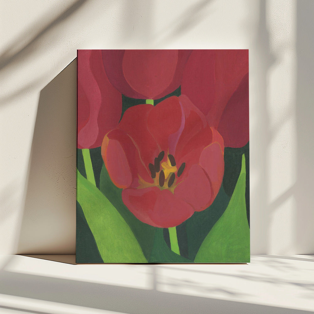 Liten Röd Tulpan | Canvas