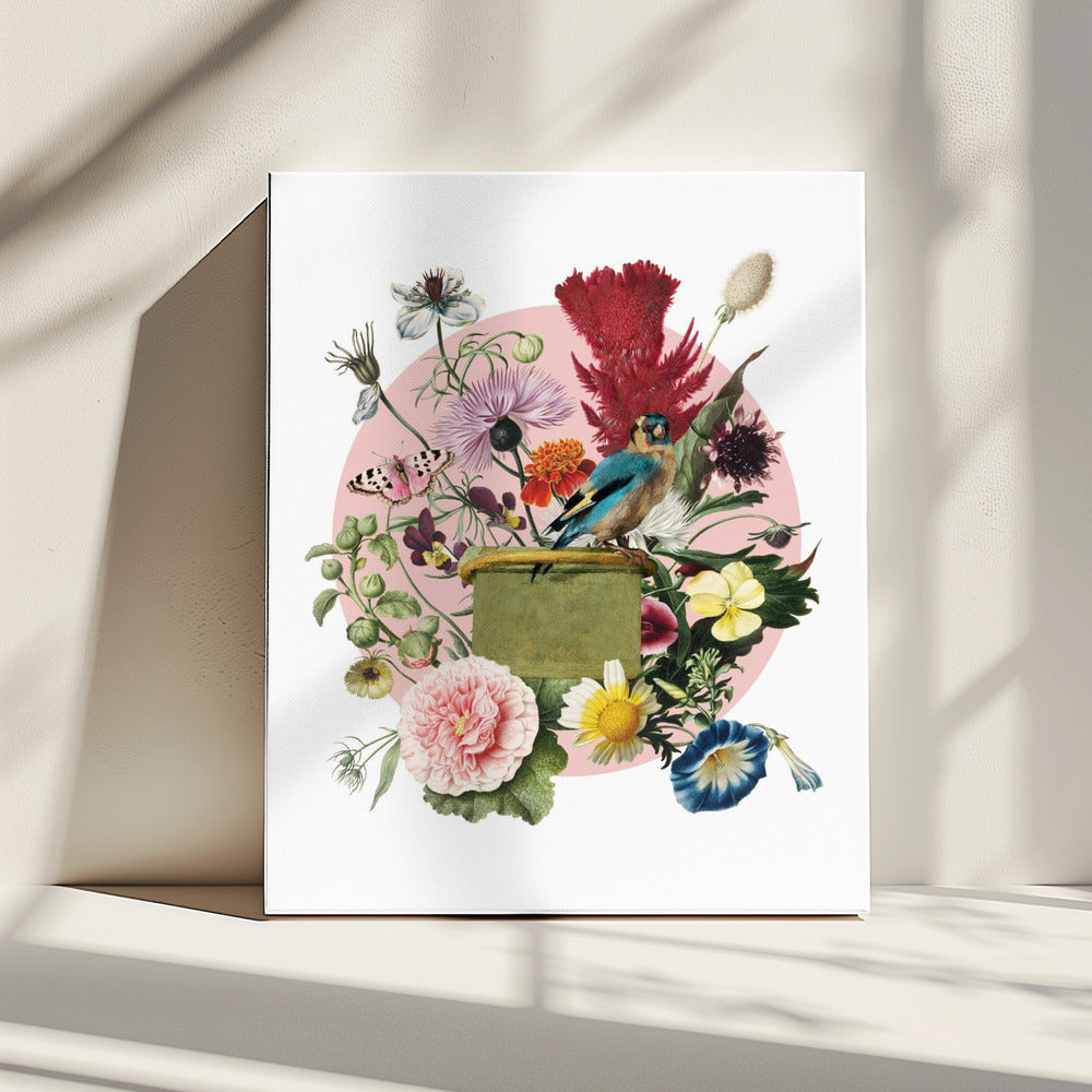 Colorful Bird Perched On A Box | Canvas