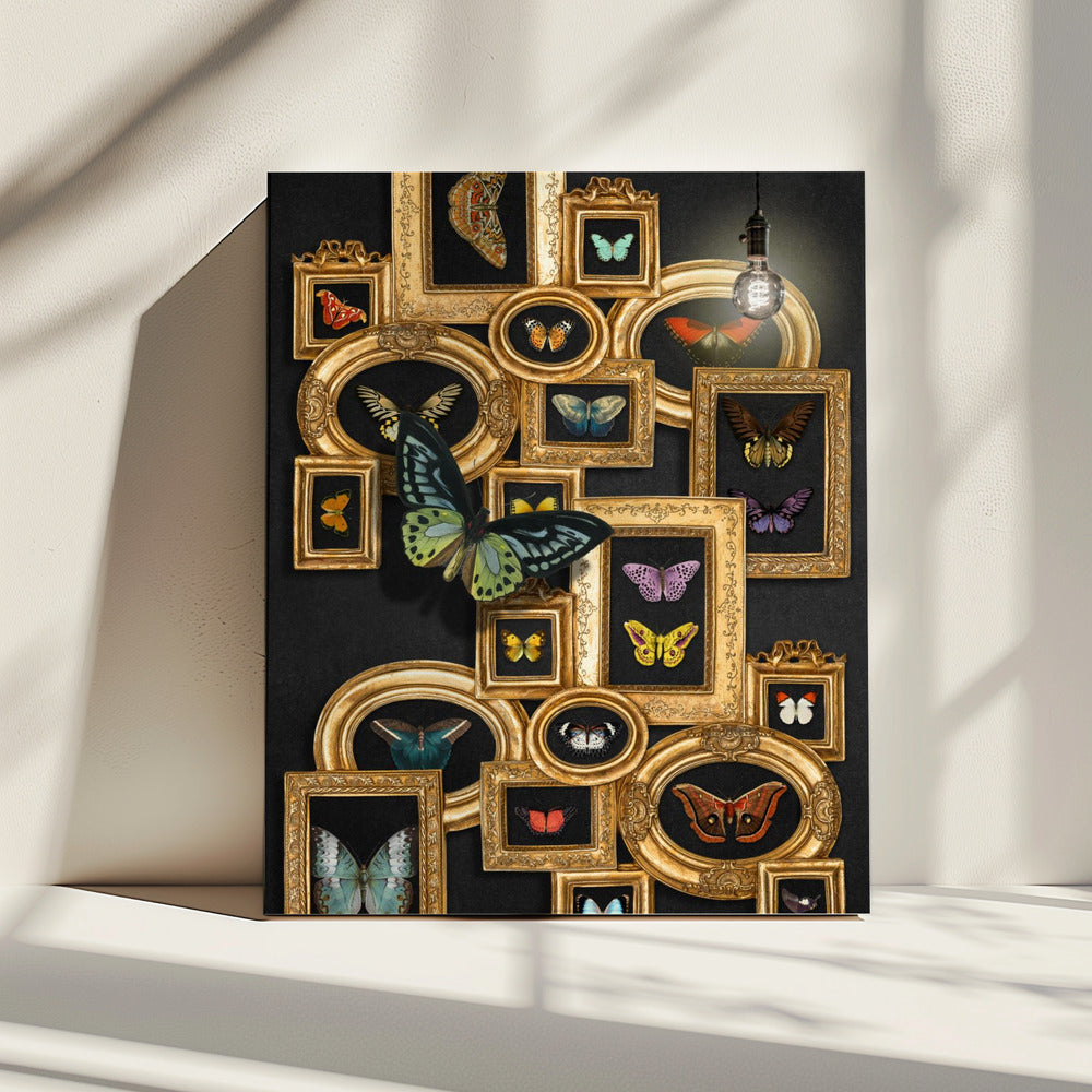 A Collection Of Butterflies | Canvas