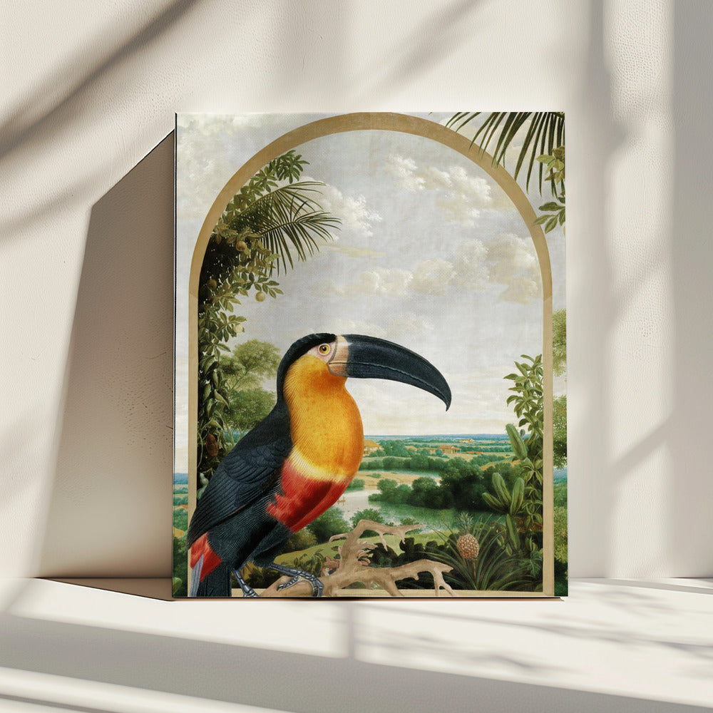 Toucan Perched on a Branch | Canvas