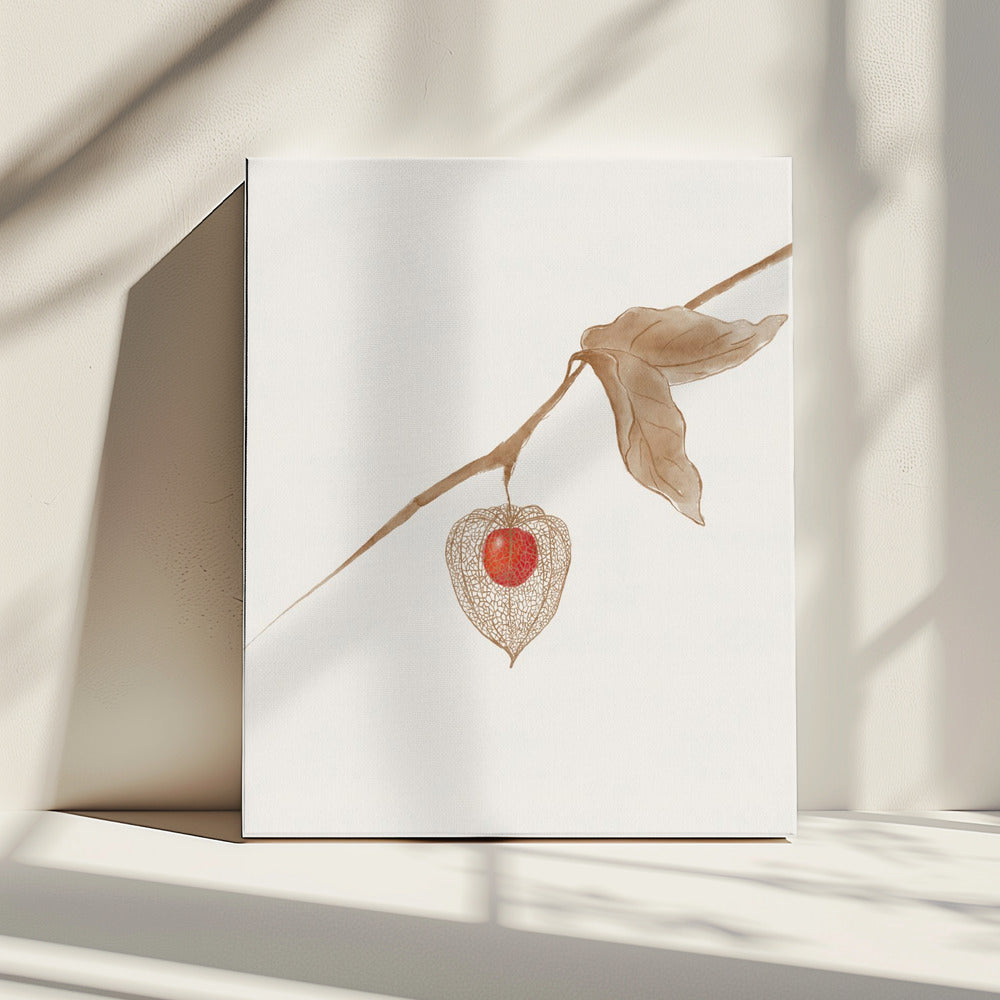 Groundcherry | Canvas