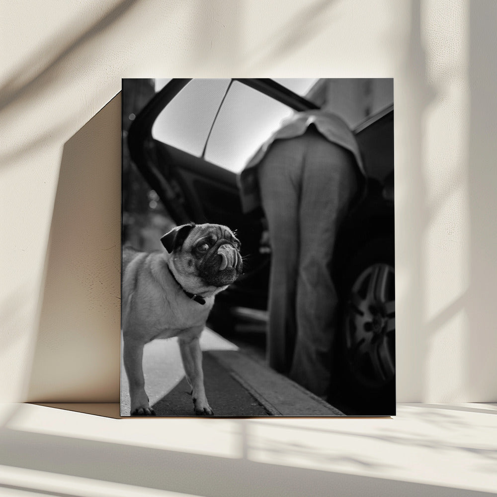 Untitled | Canvas